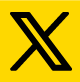 X Icon