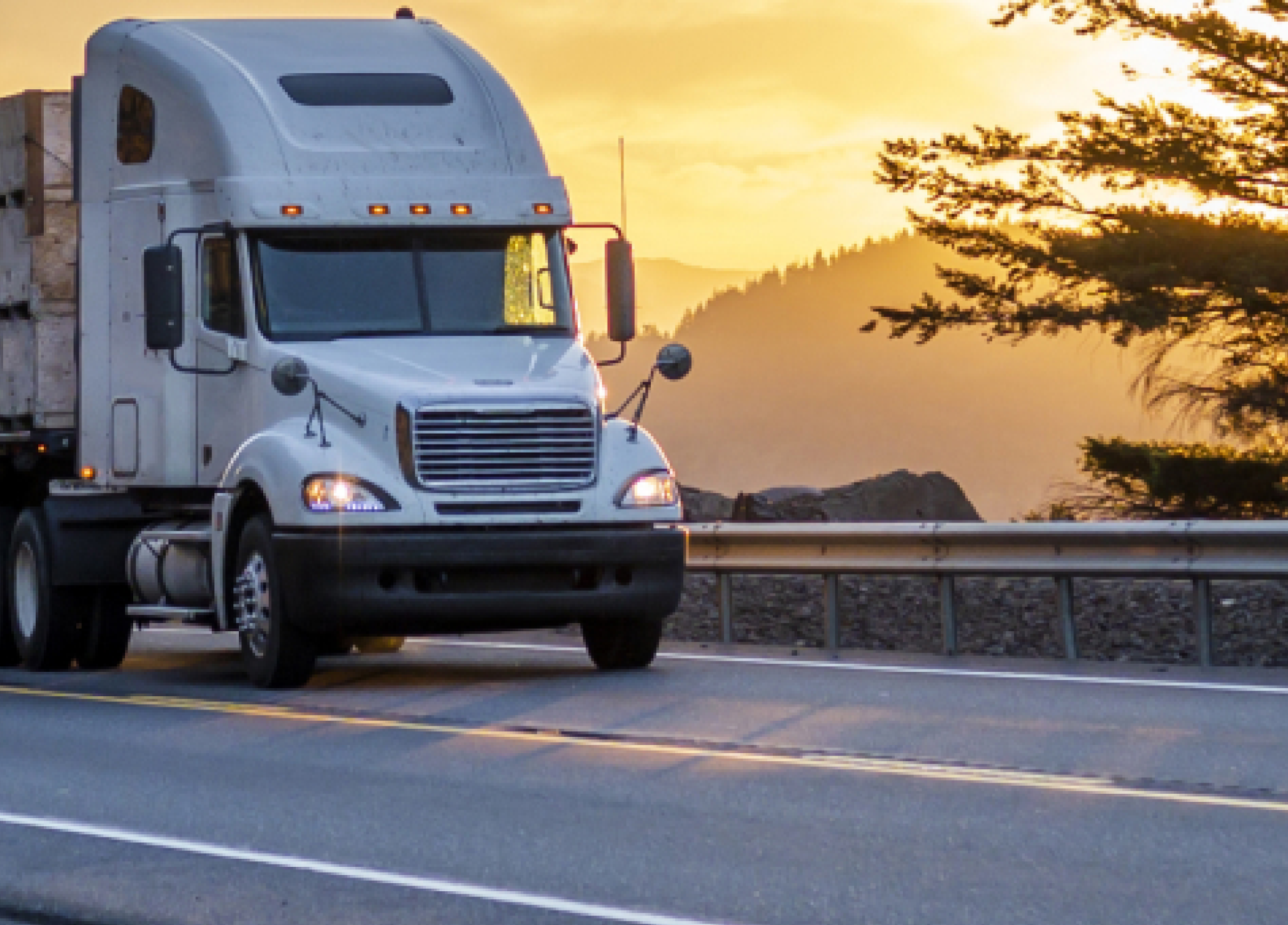 Enterprise-grade shipping features for businesses of all sizes.